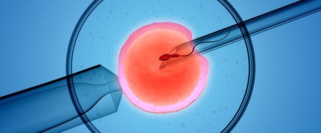 Embriyo kültüründen genetik tanı tüp bebek başarısını artırılabilir