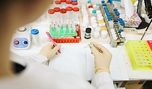 HPV Testi