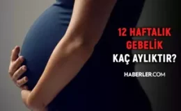 12 haftalık gebelik kaç aylık oluyor? Hamilelikte doğru bilinen yanlışlar!