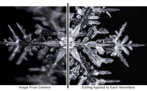 Kanadalı fotoğrafçının objektifinden kar taneleri