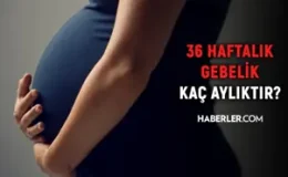 36 haftalık gebelik kaç aylık oluyor? Hamilelikte doğru bilinen yanlışlar!