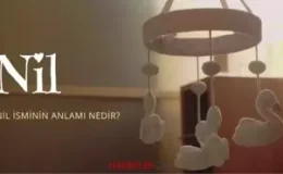 Nil ne demek? Nil isminin anlamı nedir, Kuran’da geçiyor mu?